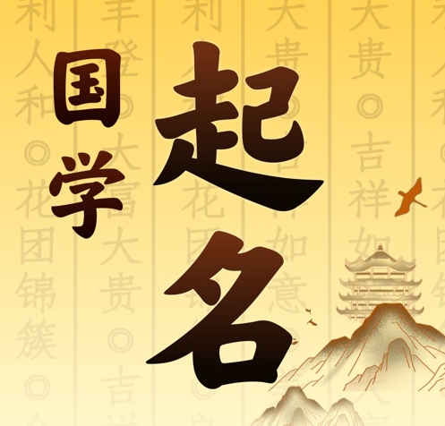 怀宁国学起名 人工起名一对一